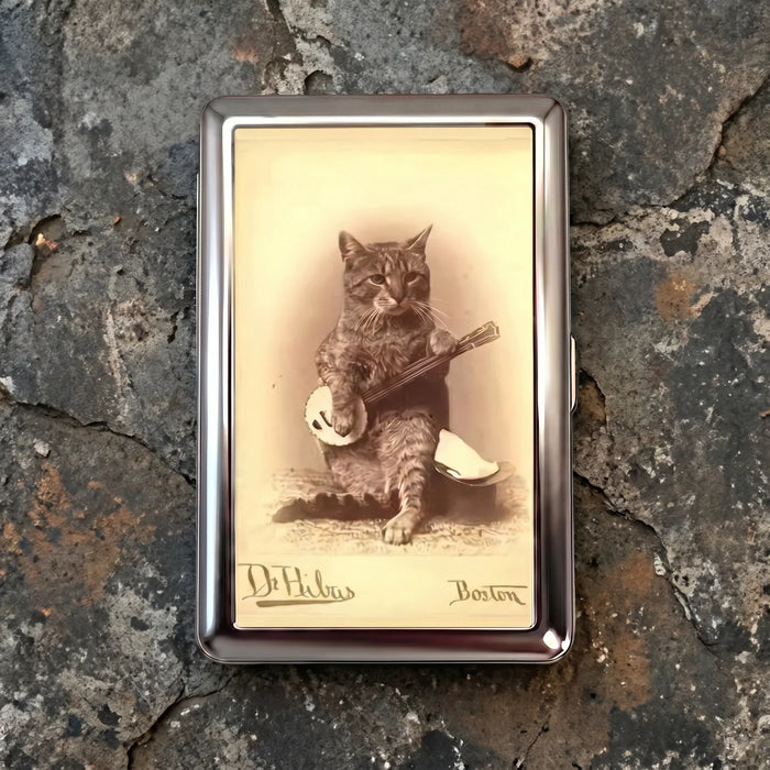 Banjo Cat